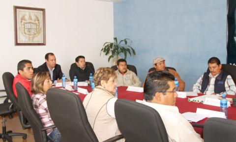 Buscan en Apizaco erradicar la plaga del chapulín imagen 1