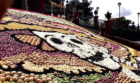 “La Catrina” roba cámara en Apizaco y Metepec imagen 4