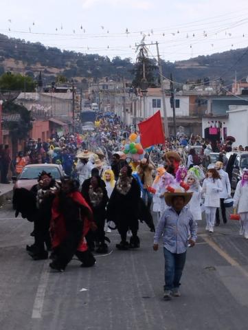 El Carnaval de los Negros una larga tradición de Santiago Cuaula en Calpulalpan imagen 2