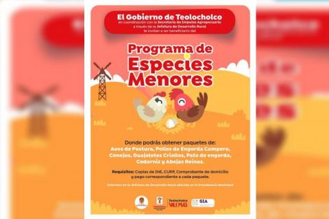 Abren convocatoria para acceder al programa de paquetes de Especies Menores, en Teolocholco