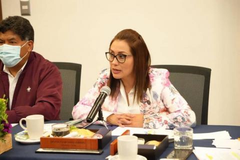 Indispensable que maquinaria se utilice en beneficio de tlaxcaltecas: Reyna Flor imagen 2
