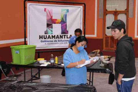 Ayuntamiento de Huamantla instalará módulo canino imagen 1