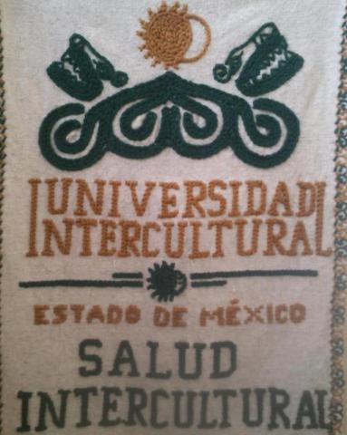 La UIEM interesada en firmar convenio con Naturopatía de la UAT imagen 4