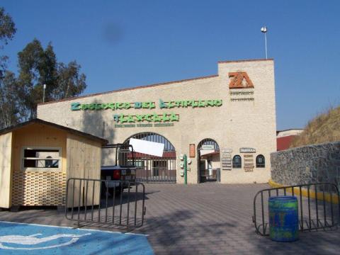 Escapan dos venados de Zoológico del Altiplano