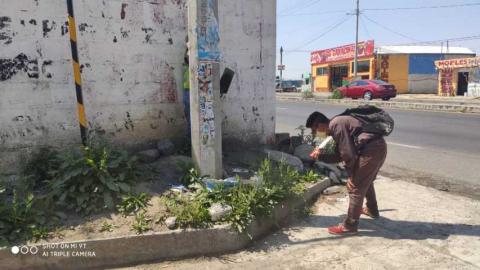 Se siguen mejorando los espacios públicos en Teolocholco imagen 8