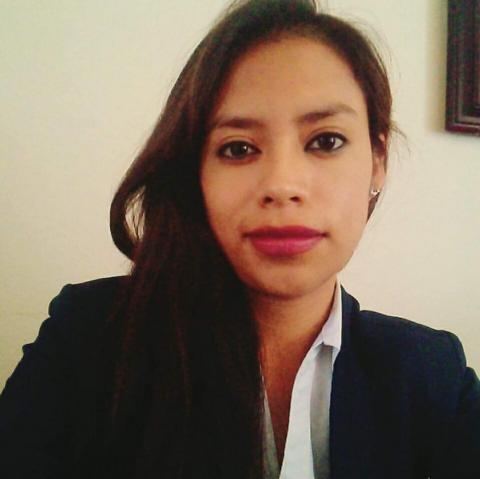 Nepotismo en MORENA con subdelegada regional