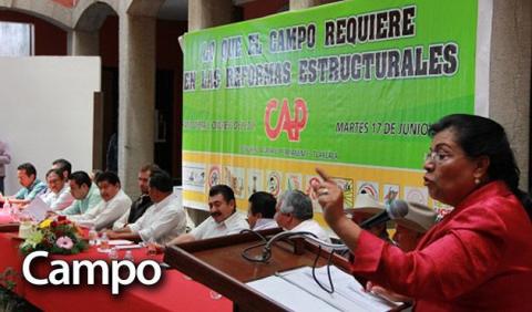 Hay descontento social en Tlaxcala: Martha Palafox