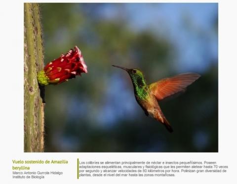 Muestra UPTX exposición de ciencias de la UNAM imagen 6