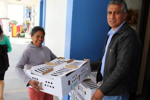 El departamento de desarrollo social de SPM entrega apoyos de aves de corral
