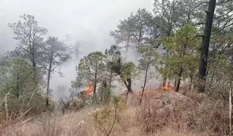 Caen presuntos responsables de incendio forestal en Atltzayanca, ciudadanos exigen castigo