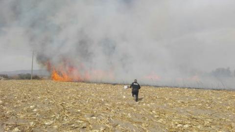Protección Civil y Seguridad de Ixtenco refuerzan combate de incendios imagen 4