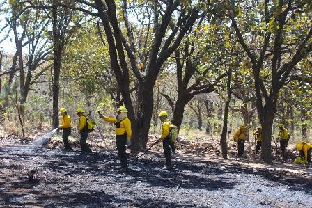 Incendios forestales se intensifican en abril y mayo