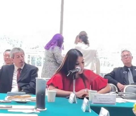 Lorena Ruiz presenta resultados ante el Congreso de la Unión imagen 1