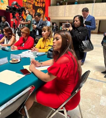 Lorena Ruiz presenta resultados ante el Congreso de la Unión imagen 3