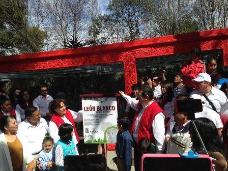 Presenta gobernador a Xonotli el cachorro de León blanco imagen 3