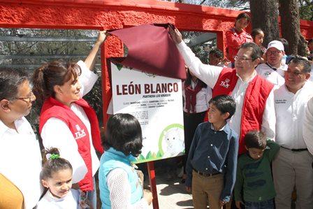 Xonotli, nombre del cachorro de león blanco de Tlaxcala imagen 2