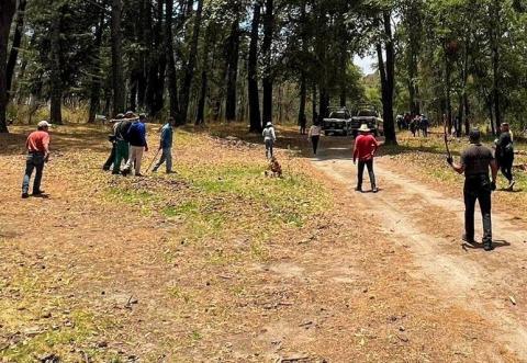 Gobierno de Papalotla ejecuta acciones ecológicas en zona protegida