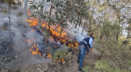 Controlan fuerte incendio forestal en la zona de Tlaxco
