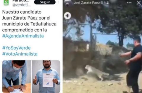 Hermano de excandidato asesina a balazos a perro