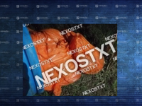 Foto Nexostxt